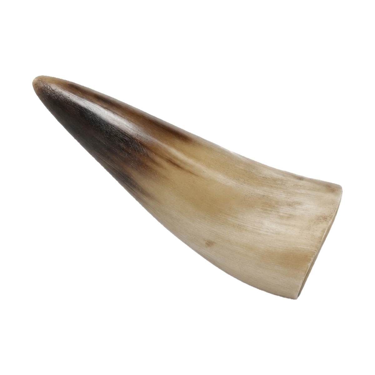Natural drinking horn
